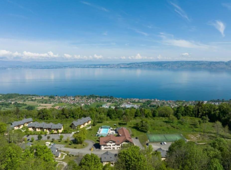 Vue Lac Leman & Piscine - Parking Free - Confort Appart 6 Pers Люгран Екстериор снимка