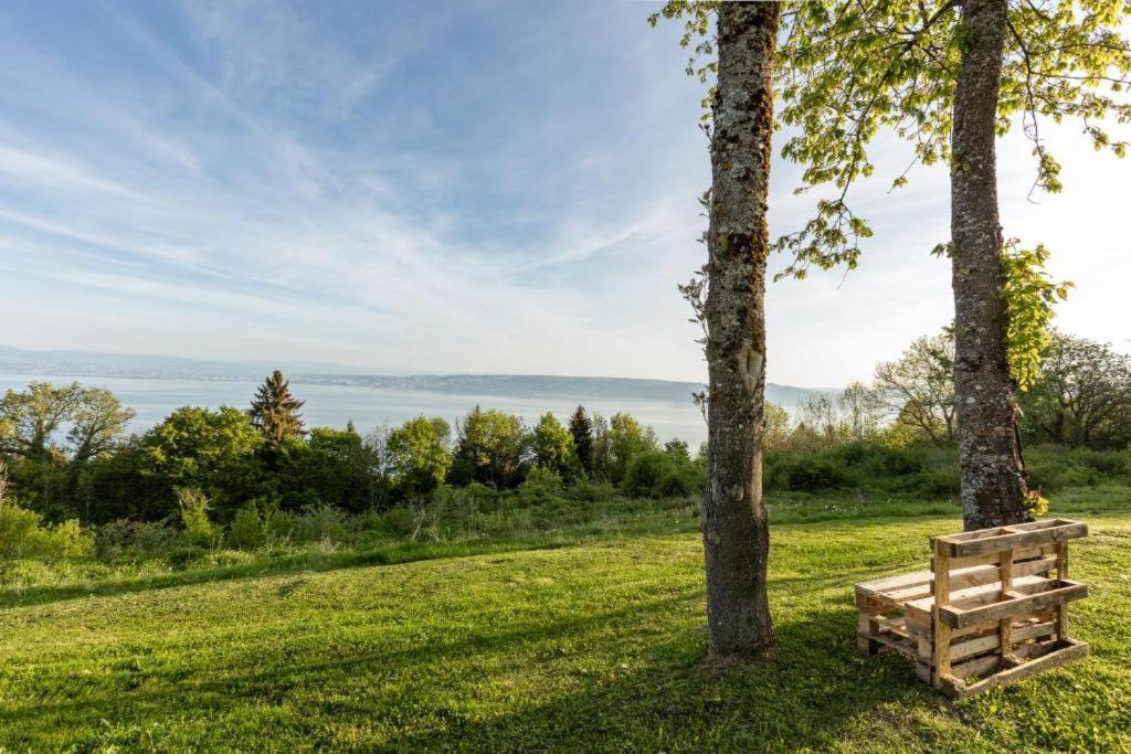 Vue Lac Leman & Piscine - Parking Free - Confort Appart 6 Pers Люгран Екстериор снимка